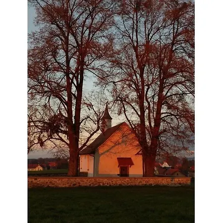 Schauss