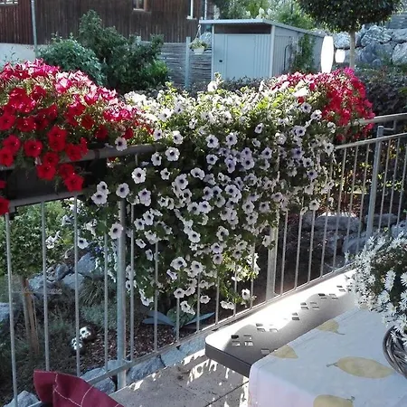 Apartmán Schauss
