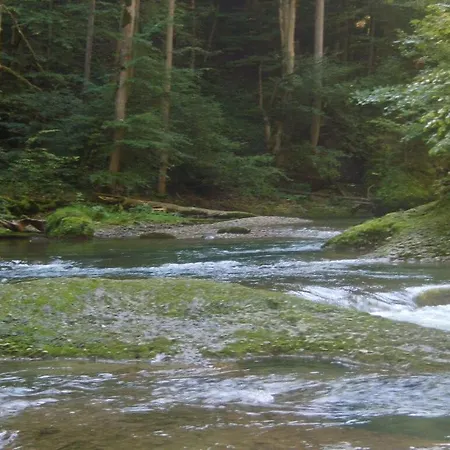 Schauss Apartman Hergensweiler