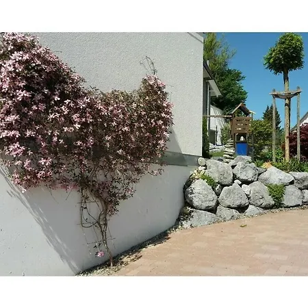 Apartman Schauss