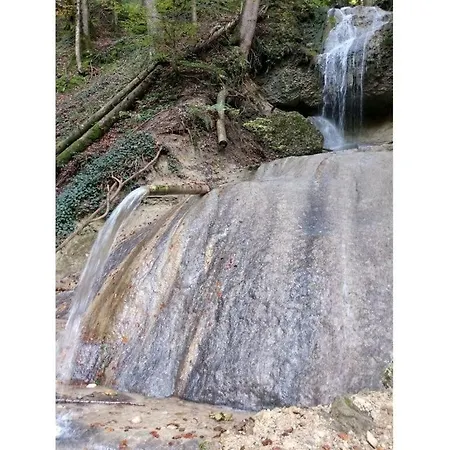 Schauss Hergensweiler
