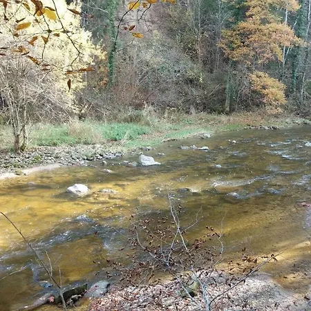Schauss Apartman Hergensweiler